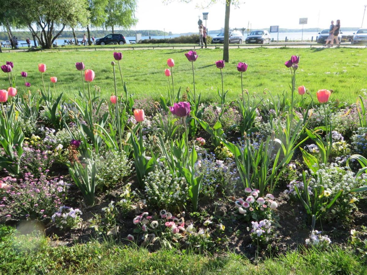 וארן Ferienwohnungen "Marie" Mit Terrassen, Inclusive Park- Und Stellplaetze Am Haus, Mueritz-Strand Nur 700M, Altstadt 10Min, Ruhige Lage, מראה חיצוני תמונה
