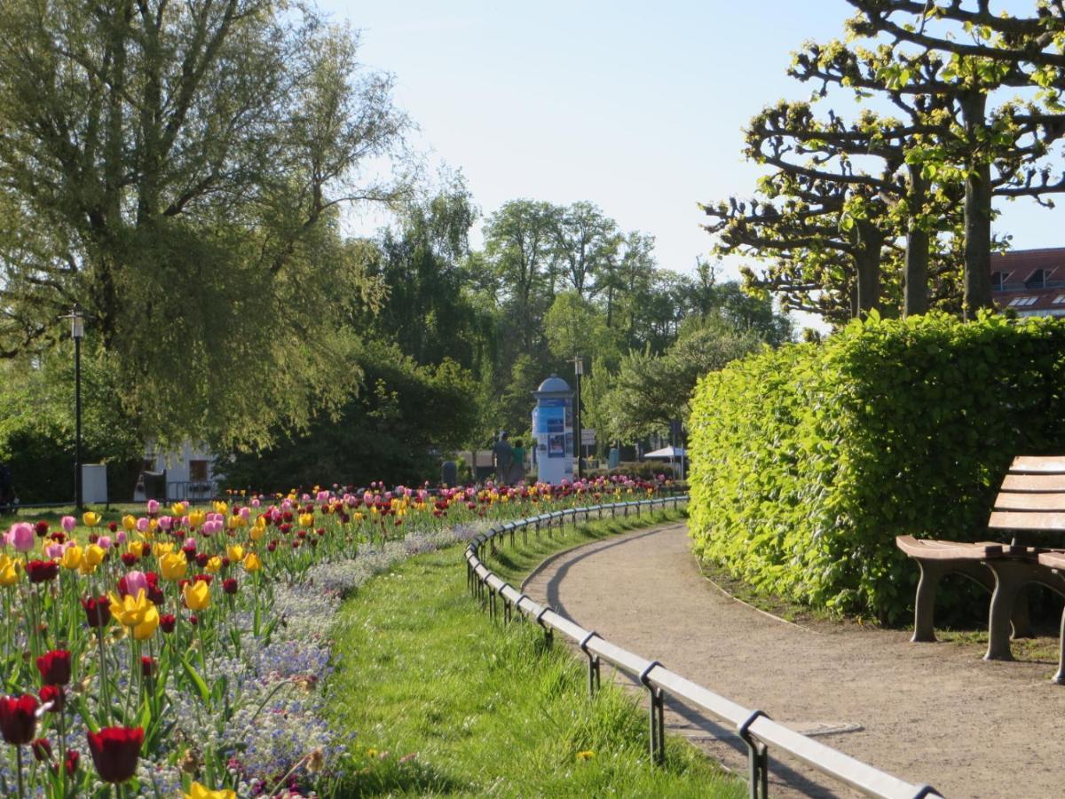 וארן Ferienwohnungen "Marie" Mit Terrassen, Inclusive Park- Und Stellplaetze Am Haus, Mueritz-Strand Nur 700M, Altstadt 10Min, Ruhige Lage, מראה חיצוני תמונה